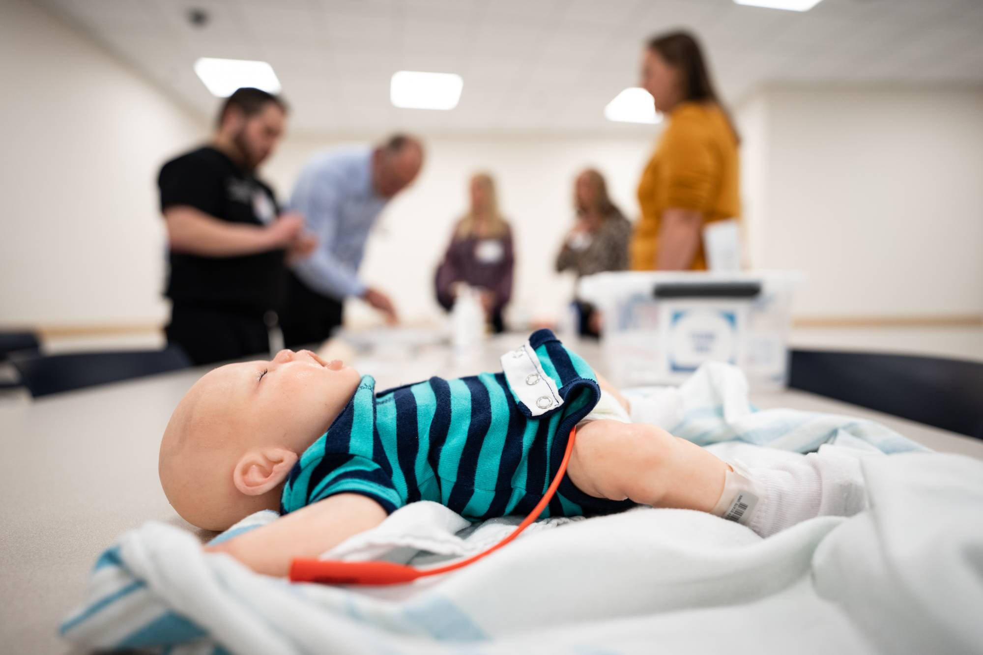 Training in CHS 315 - 03